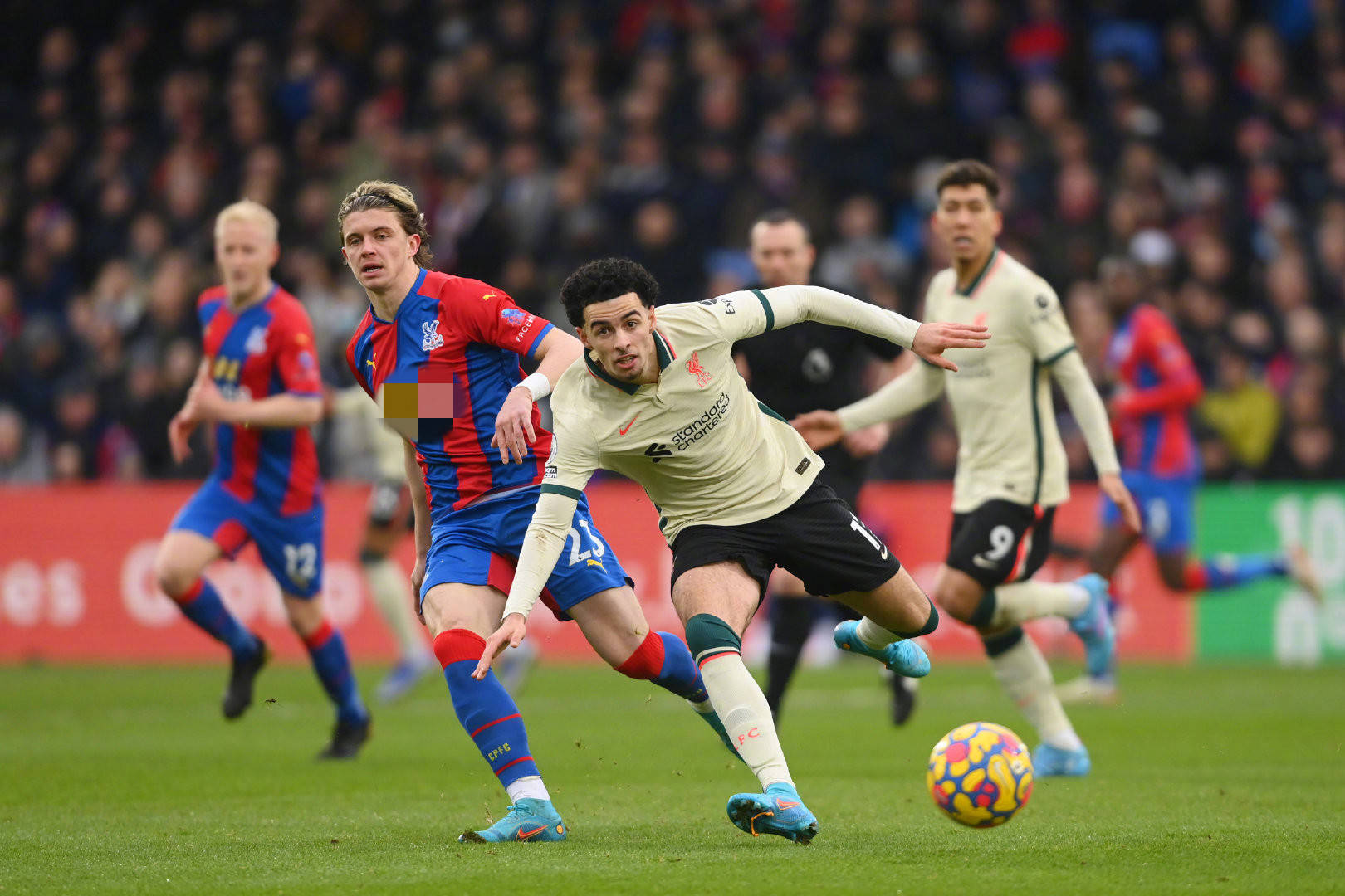 鲁能团队协 鲁能团队协